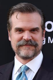 Filme si seriale cu David Harbour
