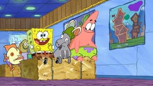 Night School Knuckleheads