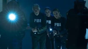 CollateRal