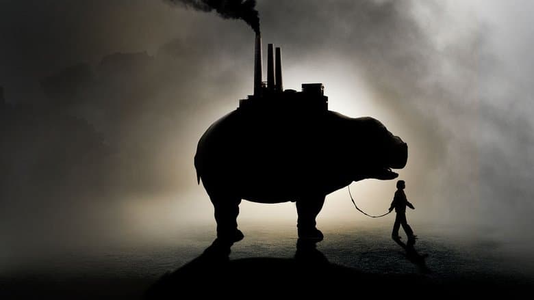 Okja - imagine 3