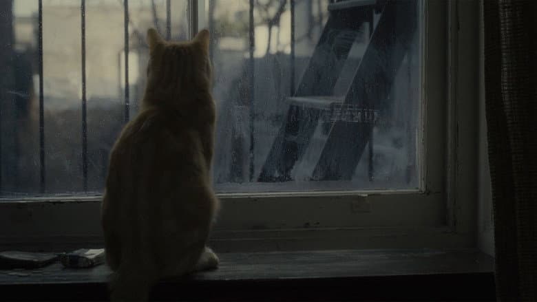 Inside Llewyn Davis - imagine 6