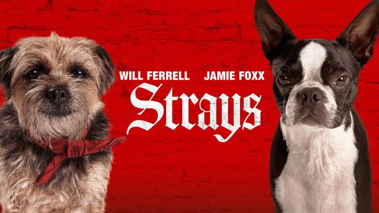 Strays - imagine 2
