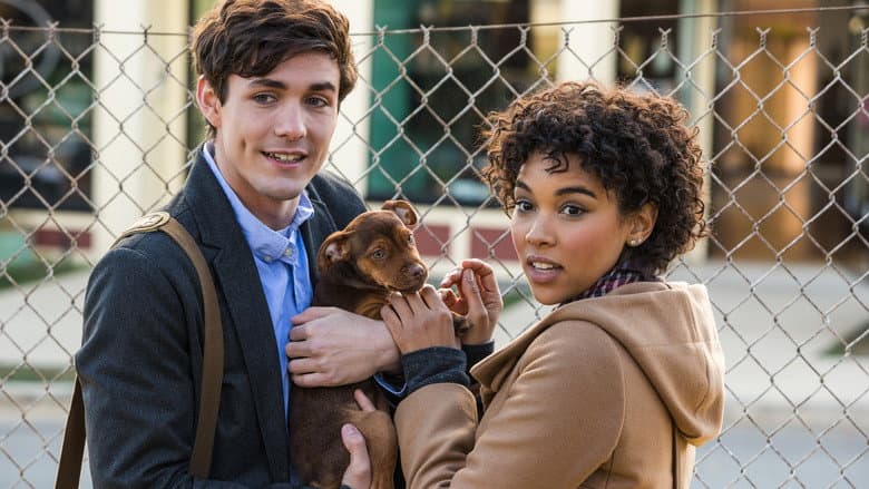 A Dog's Way Home - imagine 4