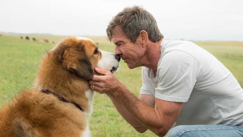 A Dog's Purpose - imagine 6