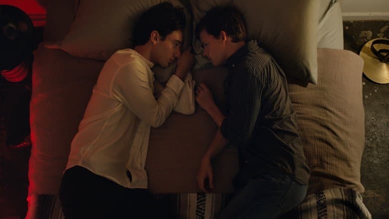 Boy Erased - imagine 1