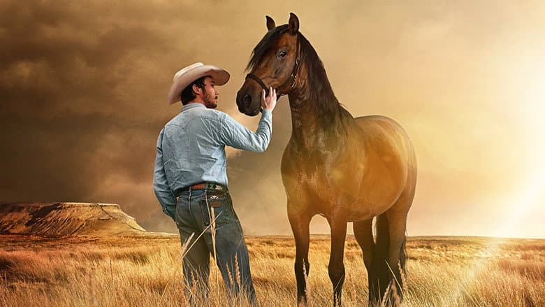 The Rider - imagine 6