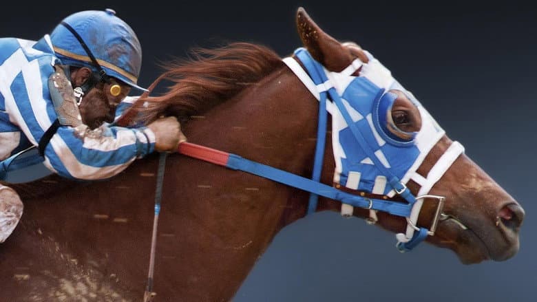 Secretariat - imagine 5