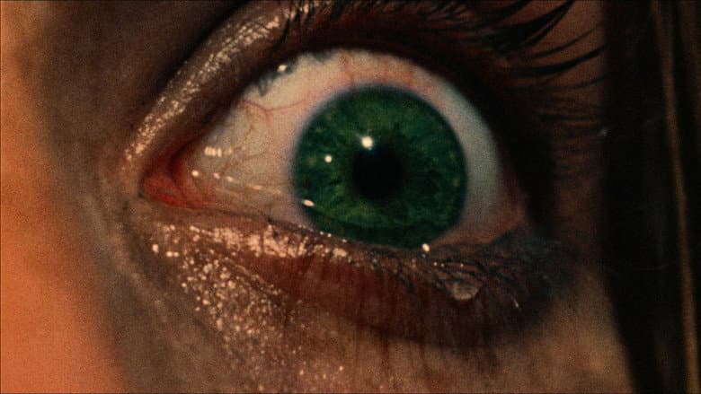 The Texas Chain Saw Massacre - imagine 3