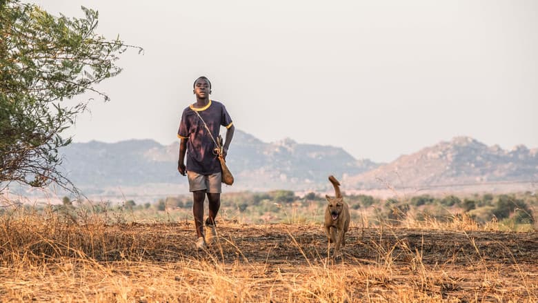 The Boy Who Harnessed the Wind - imagine 6