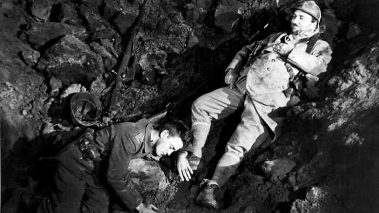 All Quiet on the Western Front - imagine 4