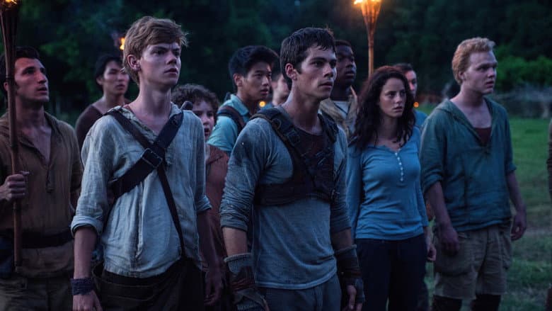 The Maze Runner - imagine 6