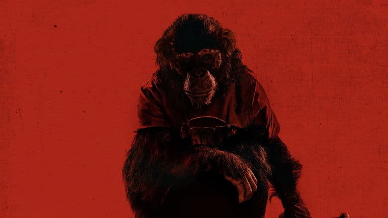 Primate - imagine 3