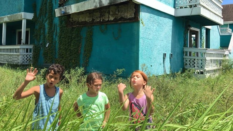 The Florida Project - imagine 4