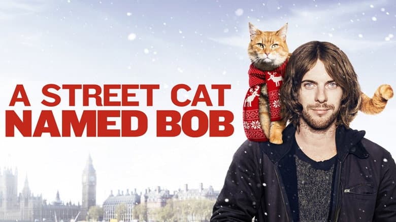 A Street Cat Named Bob - imagine 1