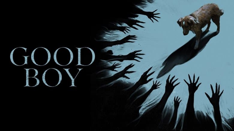 Good Boy - imagine 4