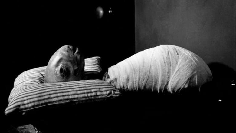 Eraserhead - imagine 1