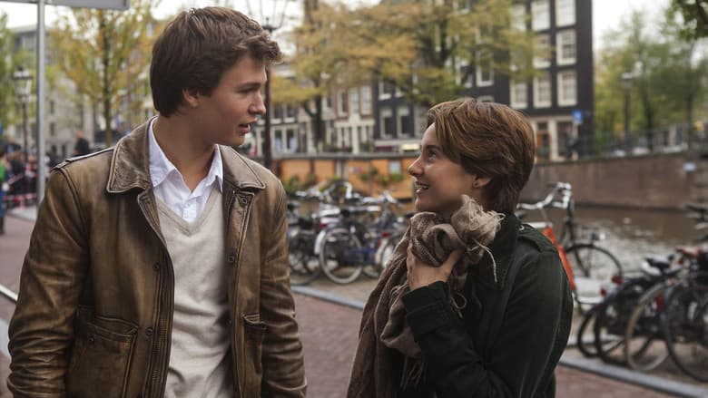 The Fault in Our Stars - imagine 5