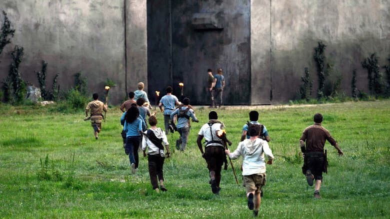 The Maze Runner - imagine 5