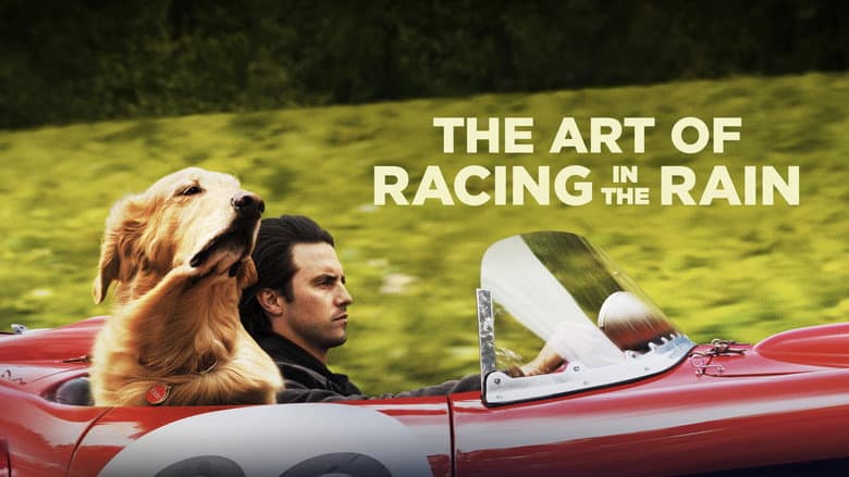 The Art of Racing in the Rain - imagine 2