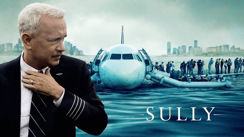 Sully - imagine 3