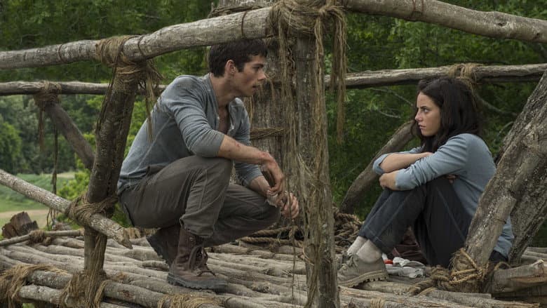 The Maze Runner - imagine 4