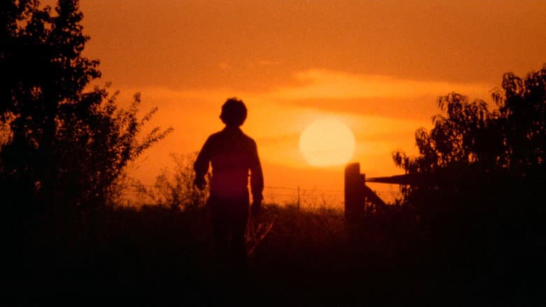 The Texas Chain Saw Massacre - imagine 6