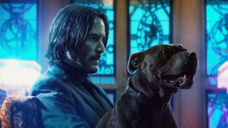 John Wick: Chapter 3 - Parabellum - imagine 6