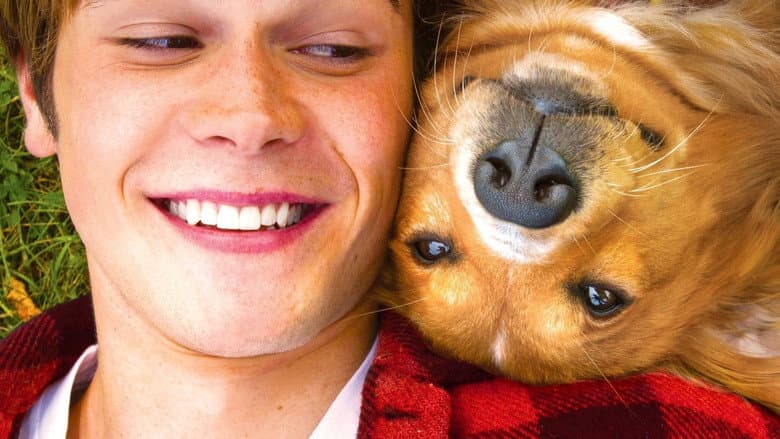 A Dog's Purpose - imagine 5