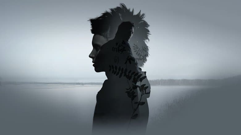 The Girl with the Dragon Tattoo - imagine 1