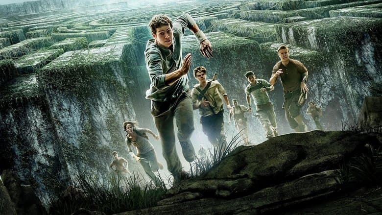 The Maze Runner - imagine 1