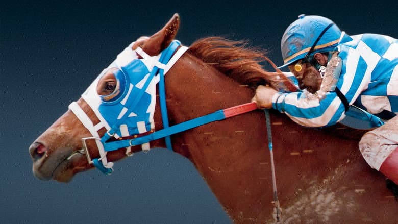 Secretariat - imagine 4
