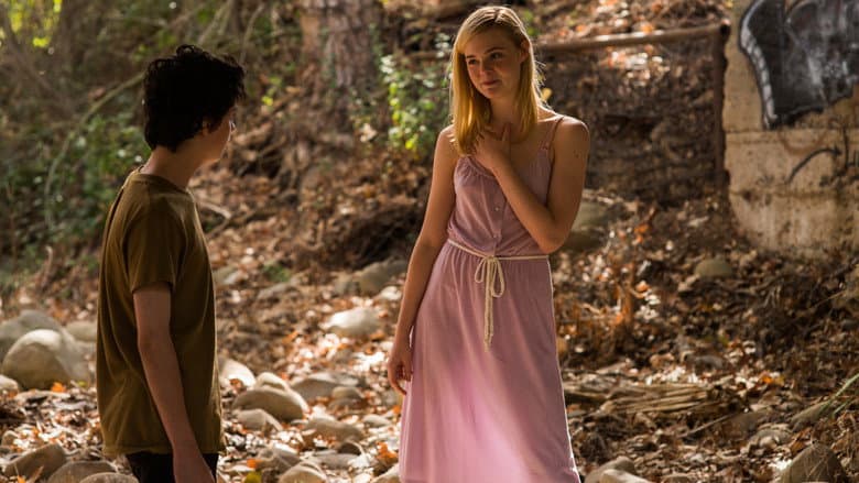 20th Century Women - imagine 3