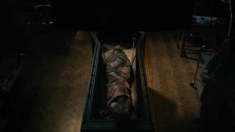 Lee Cronin's The Mummy - imagine 4