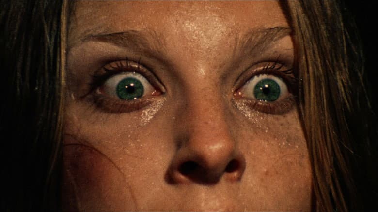 The Texas Chain Saw Massacre - imagine 5