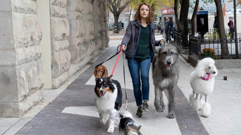 A Dog's Journey - imagine 1