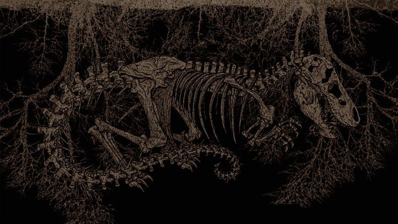 Tyrannosaur - imagine 1
