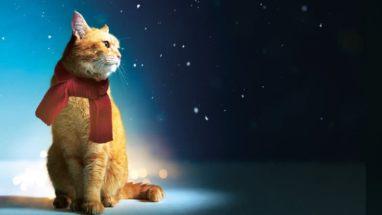 A Street Cat Named Bob - imagine 6