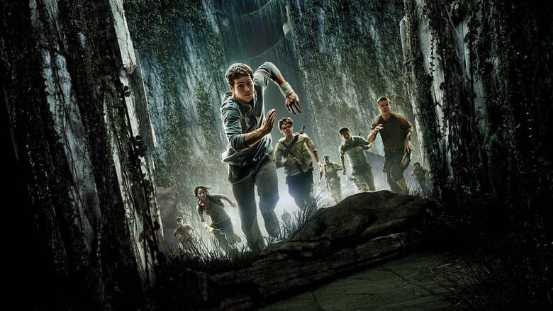 The Maze Runner - imagine 2