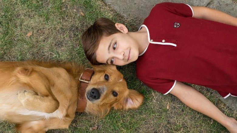 A Dog's Purpose - imagine 3