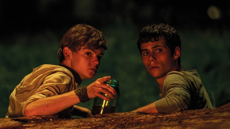 The Maze Runner - imagine 3