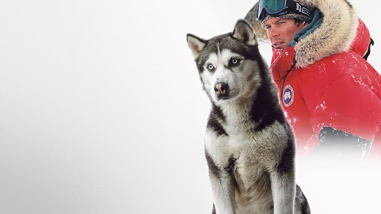 Eight Below - imagine 6