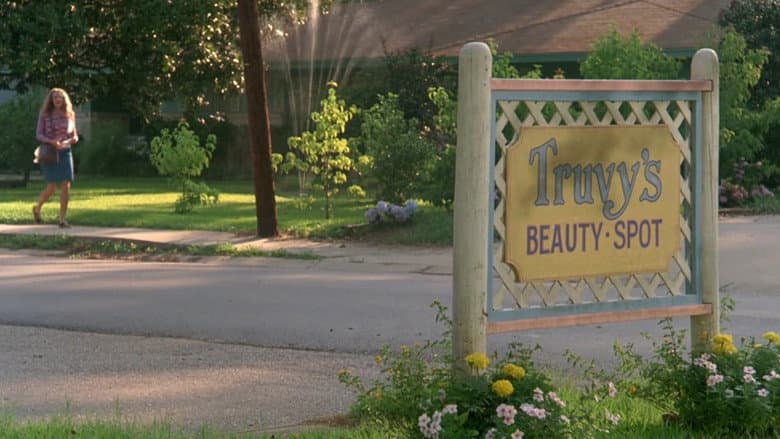 Steel Magnolias - imagine 3