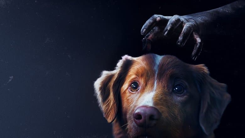 Good Boy - imagine 1