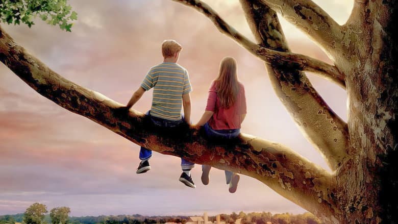 Flipped - imagine 6