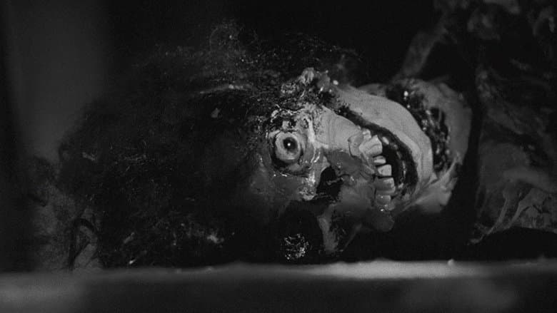 Night of the Living Dead - imagine 3