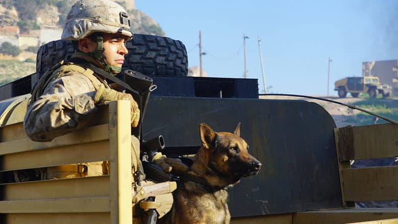 Megan Leavey - imagine 3