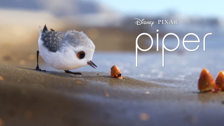 Piper - imagine 3