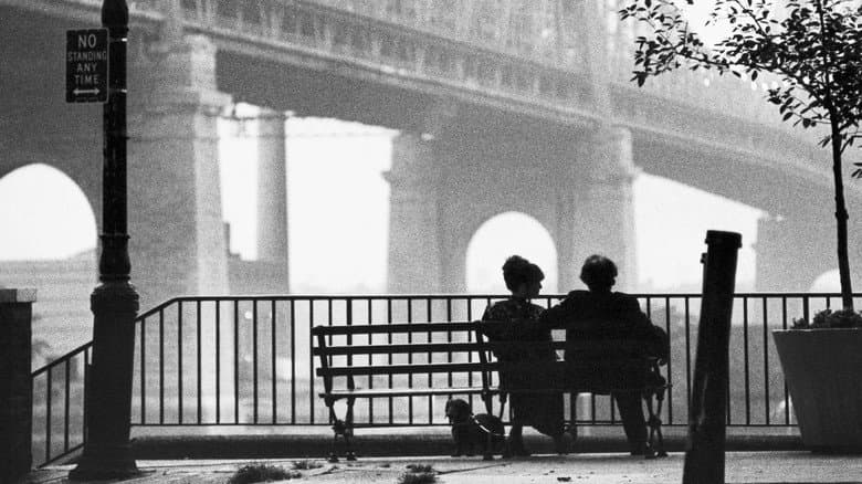 Manhattan - imagine 6