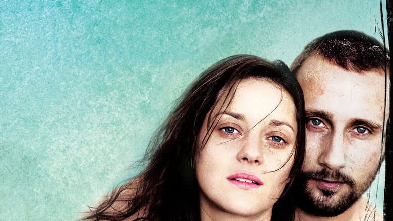 Rust and Bone - imagine 3