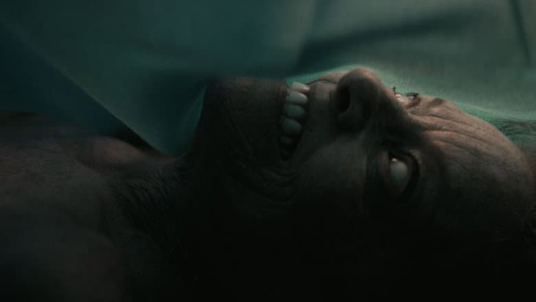 The Mortuary Assistant - imagine 5